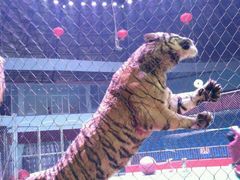 -西安秦岭野生动物园