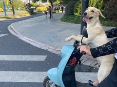 -锐动健身(博地中心店)