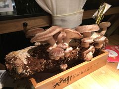 -大头椰·椰子鸡火锅(南宁万象城店)