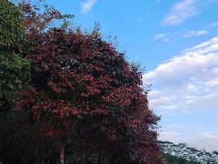 -凤岗南门山森林公园