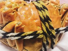 阳澄湖大闸蟹-乡乐园蟹庄·阳澄湖农家乐