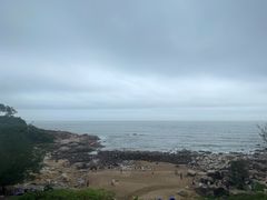 -广东惠东海龟国家级自然保护区