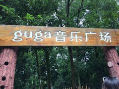 -南宁良凤江国家森林公园