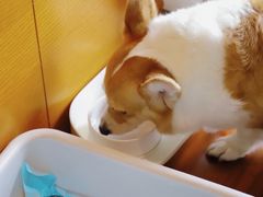 -蓝楹湾度假酒店
