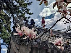 -潭柘寺景区