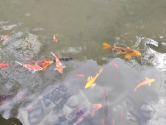 -陶祖圣境风景区