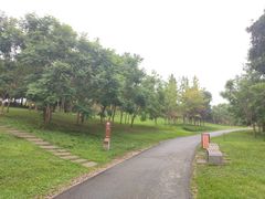 -白鹭湾湿地公园