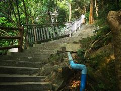 -火炉山森林公园