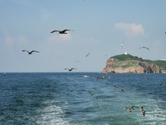 -海驴岛(荣成市)