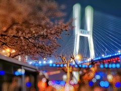 -上海南浦大桥长途旅游客运站