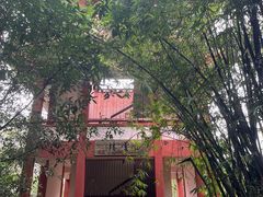 -九曲溪竹筏码头