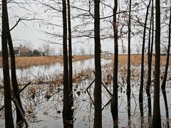 -云龙湖旅游景区