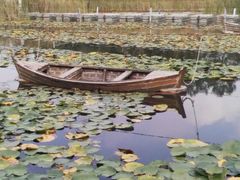 -溱湖国家湿地公园