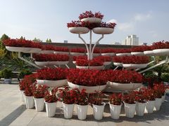 -雁滩公园