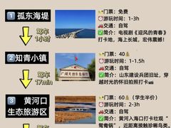 -daozao料理美术馆(东营店)