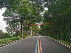 -南京金牛湖风景区