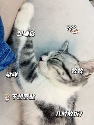 -卡卡喜糖伴手礼·商务礼宝宝礼·婚礼用品