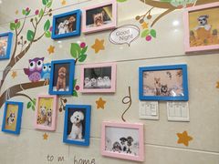 -北京观赏动物医院·24小时大型综合·猫专科·异宠专科