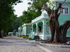 -龙环葡韵住宅式博物馆