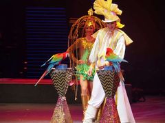 -珠海横琴长隆《卡卡虎奇遇记》