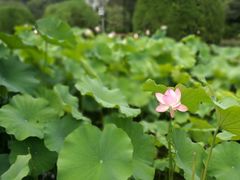 -四川大学(华西校区)