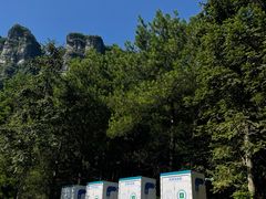 -重庆睡佛山森林公园