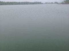 iphone_upload_pic-永定河休闲森林公园