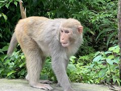 -黔灵山公园