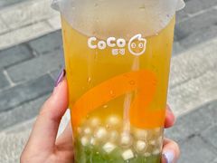 -CoCo都可(惠福店)