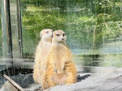 -水上乐园·欢乐世界