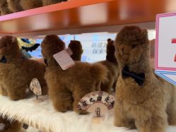 -IMON·HANSA潮玩玩偶毛绒玩具(通州万象汇店)