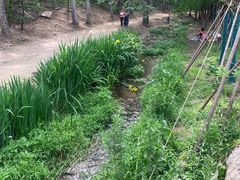 -白水寺森林公园