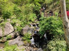 -藏龙百瀑风景区