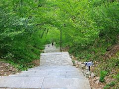 -狼牙山风景区