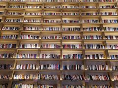 -深影国际影城(学院南路店CGS中国巨幕店)