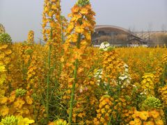 -中国天府农业博览园