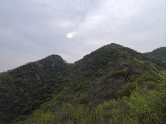 -大岭沟猕猴桃谷风景区
