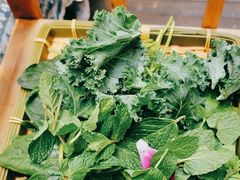 -慢丽江·云南野生菌土鸡锅(付家庄店)