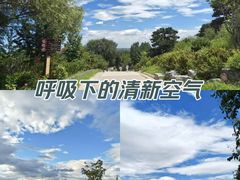 -北京西山国家森林公园