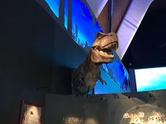 -贝林大翅鲸简餐厅(国家海洋博物馆店)