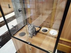 -袖虎·猫馆(体育西路店)