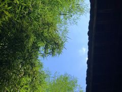 -东天目山风景区