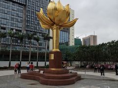 -金莲花广场