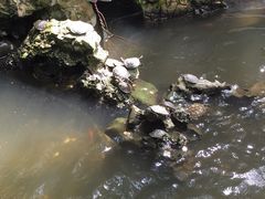 -普陀山风景名胜区-法雨禅寺