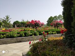 -郑州植物园