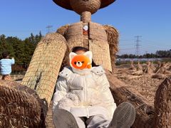 -乌村