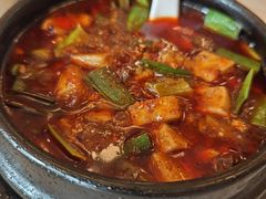 -陈麻婆豆腐总店