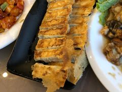 -大眼锅贴饺子(河西店)