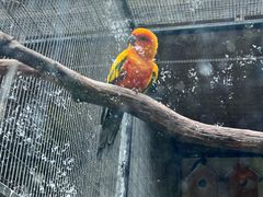 -上海动物园(地铁站)