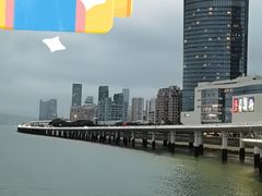 -演武大桥观景平台